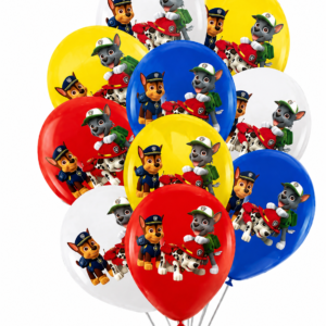Kit ballons paw patrol
